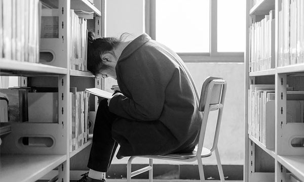 在线手机号轰炸机
